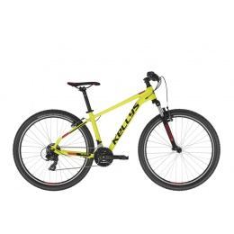 kellys_2021_spider_10_yellow_27