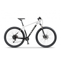 levit_2022_notos_29_white