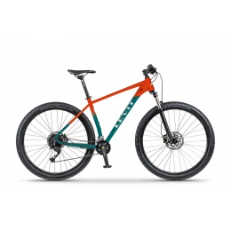 levit_2022_notos_5_orange